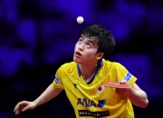 开云体育-波兰乒乓球队力克奥地利乒乓球队，波尔惊艳世界的简单介绍