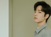 开云体育在线-文班亚马刷新纪录之夜，森林狼狂潮冲垮国王，当天赋与体系同时闪耀