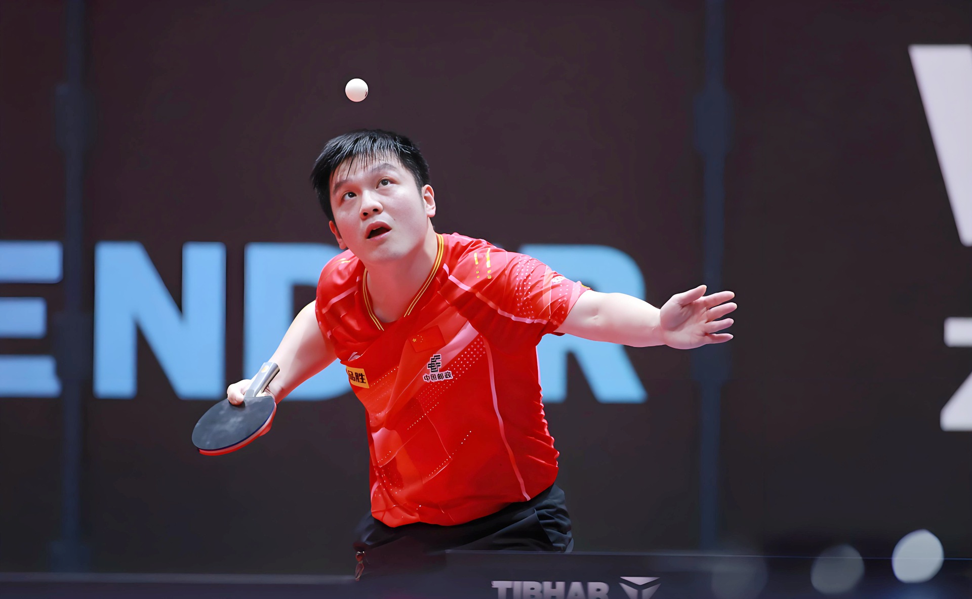 波兰乒乓球队轻取瑞典乒乓球队,樊振东送出助攻的简单介绍 波兰乒乓球队轻取瑞典乒乓球队,樊振东送出助攻的简单介绍