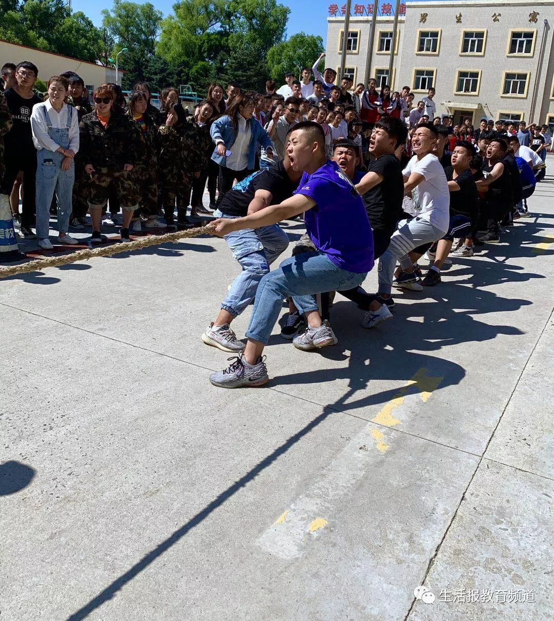 关于小团体中意大利喜获大pk胜利,脱颖而出的信息 关于小团体中意大利喜获大pk胜利,脱颖而出的信息