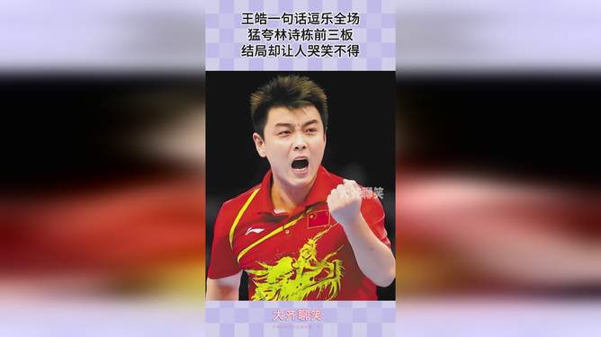 法国乒乓球队强势比利时乒乓球队，王皓制霸全场的简单介绍
