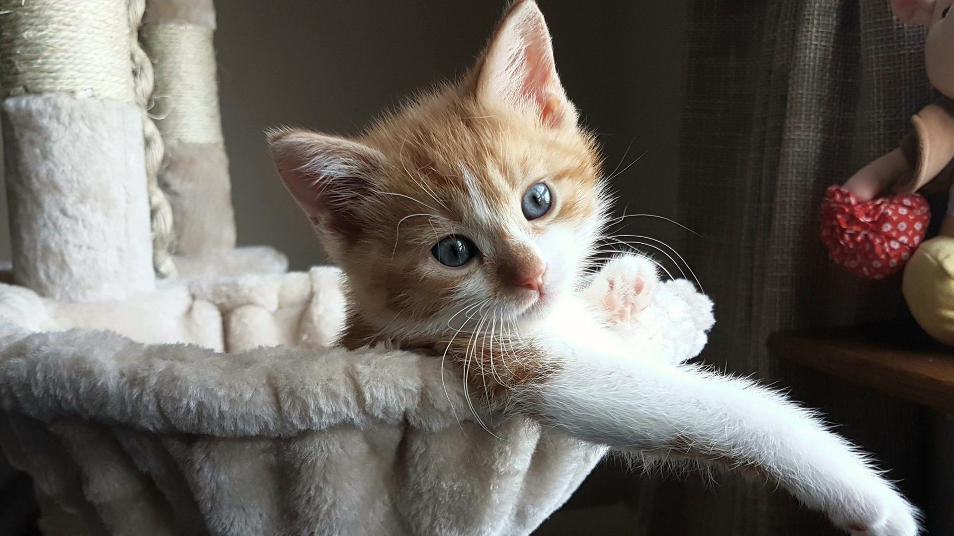 德罗赞末节封神,黄蜂主场惨遭公牛提前终结