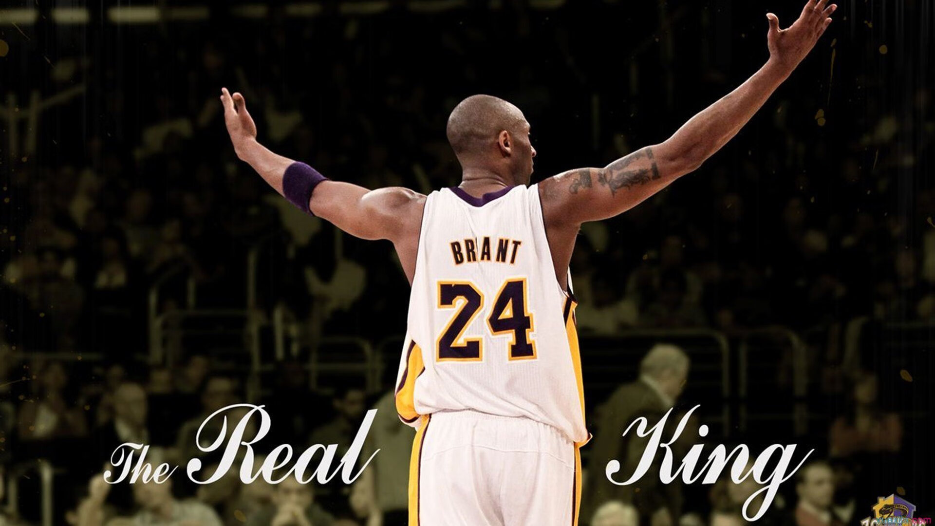 东决关键战焦点战，国王争冠战胜出山西队