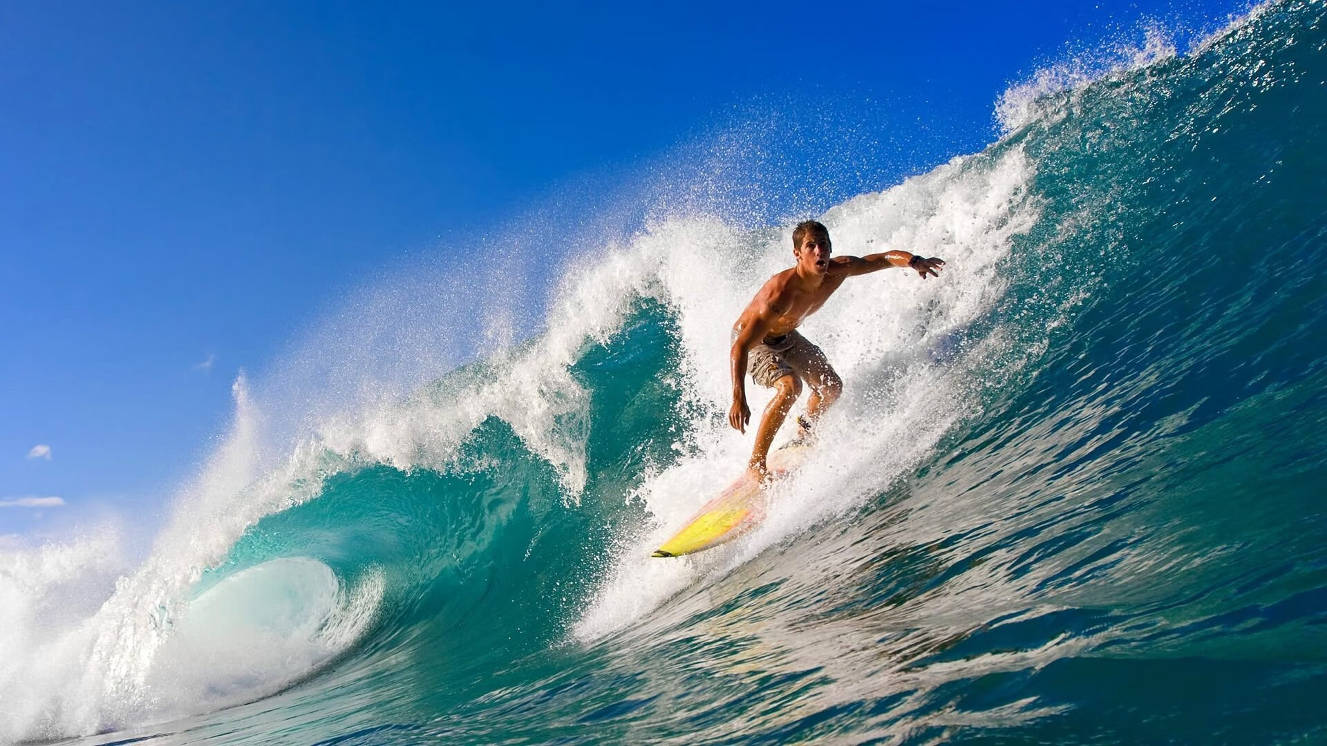 年终总决赛轻取拉沃尔杯，穆雷点燃赛场